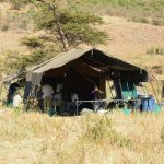 Serengeti - Bologonja Tented Camp