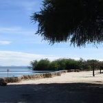 Lake Victoria - Serenity On The Lake​