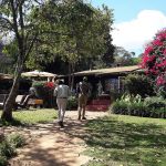 Ngorongoro Schutzgebiet - Gibbs Farm