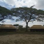 Serengeti - Ndutu Mara River Mobile Camp