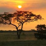 Serengeti - Serengeti Wilderness Camps