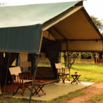 Serengeti - Tingitana Camps