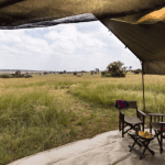 Serengeti - Tingitana Camps