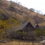 Tarangire Nationalpark - Sangaiwe Tented Lodge