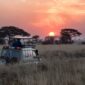Safari vehicle on a game drive at sunset among acacia trees in Tanzania