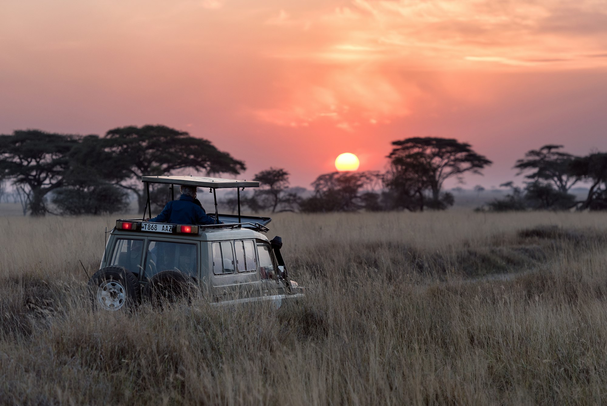 Safari vehicle on a game drive at sunset among acacia trees in Tanzania
